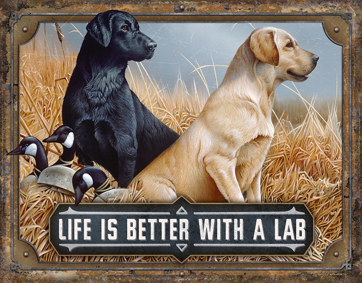 Desperate Enterprises Life Is Better With A Lab. Metalen wandbord 31,5 x 40,5 cm. meerkleurig