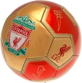 Liverpool voetbal handtekeningen YNWA - Maat 5 - rood/goud