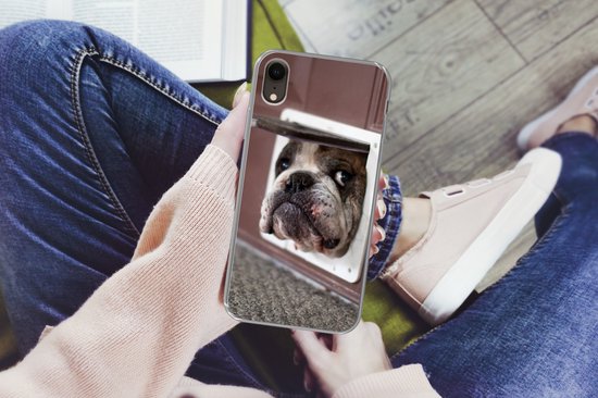 Coque iPhone XR - Chien - Drôle - Laisses pour chats - Siliconen - Sinterklaas - Noël - Cadeaux - Chaussures Cadeaux