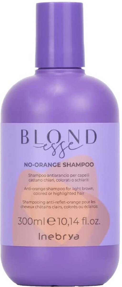 Shampoo for Coloured Hair Inebrya BLONDesse 300 ml