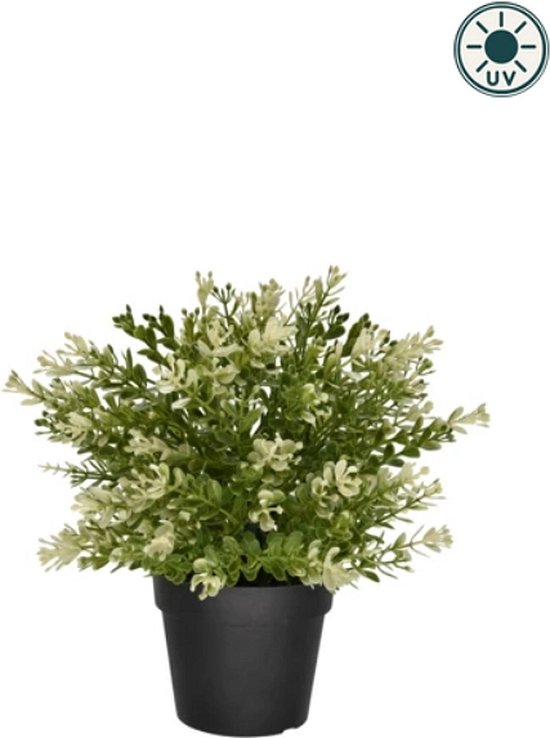 Plante artificielle Buxus en pot 23cm UV - pour l'intérieur et l'extérieur