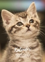 Kalender 2024 katten/kittens (A4 formaat) maandkalender wandkalender