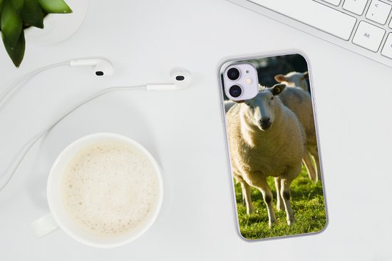Telefoonhoesje Geschikt voor iPhone 11 hoesje - Schapen - Dieren - Wol - Siliconen Telefoonhoesje Telefoonhoesje