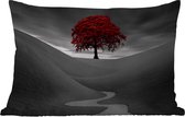 Buitenkussens - Tuin - Zwart-wit foto met een rode boom - 60x40 cm