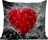 Buitenkussen Weerbestendig - Zwart-wit foto met een rode hartvormige cactus - 50x50 cm