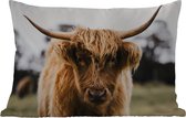 Coussins d'extérieur - Scottish Highlander - Vache - Herbe - Animaux - 60x40 cm - Résistant aux intempéries