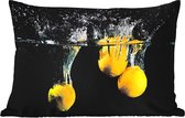 Coussins d'extérieur - Citroen - Fruits - Nature morte - Water - Jaune - 60x40 cm - Résistant aux intempéries