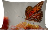 Buitenkussens - Tuin - Vlinder - Oranje - Bloem - Insecten - 50x30 cm