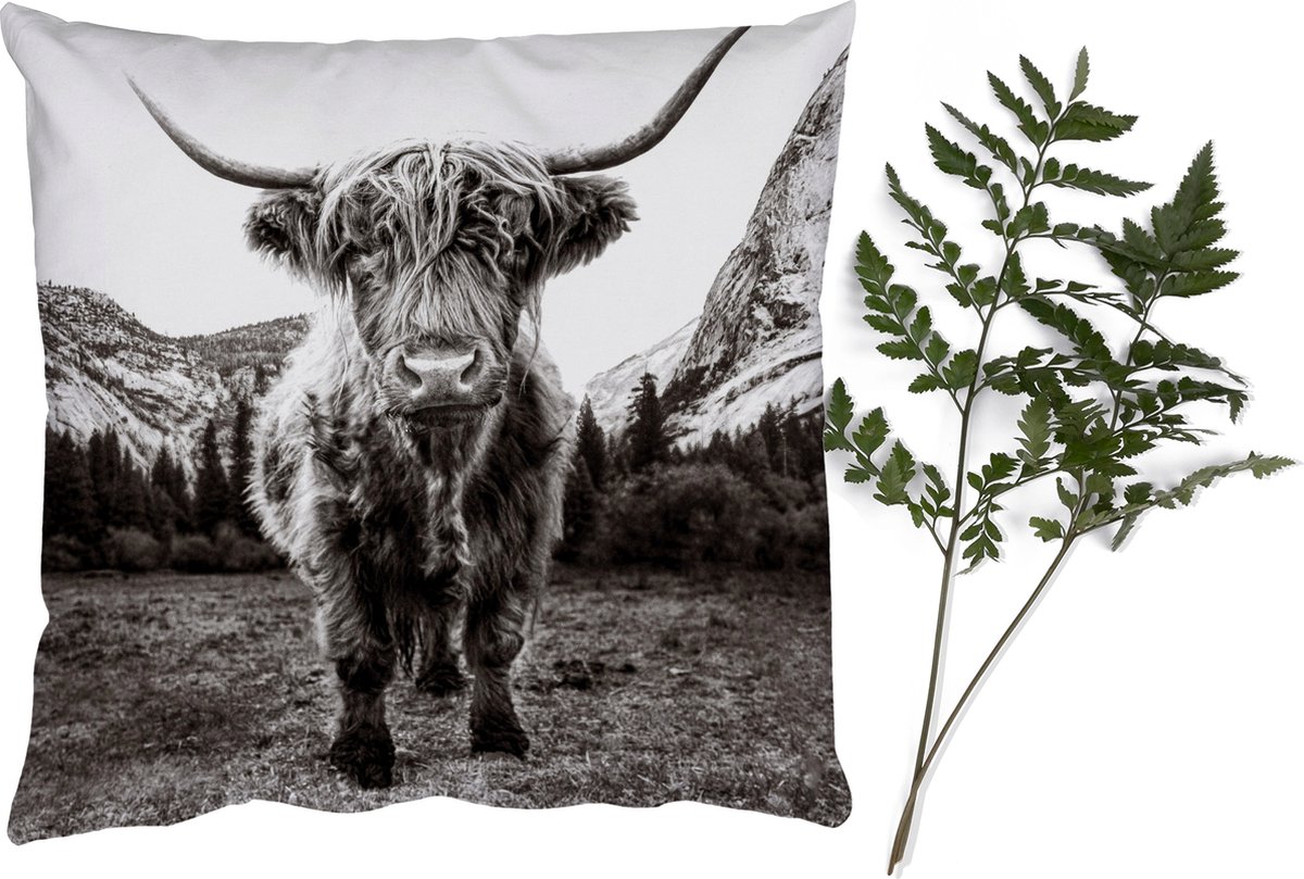 Sierkussens - Kussentjes Woonkamer - 60x60 cm - Berg - Zwart - Wit - Schotse Hooglander