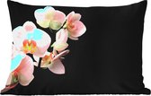 Buitenkussens - Tuin - Orchidee - Bloemen - Roze - Stilleven - Flora - 50x30 cm