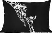 Buitenkussens - Tuin - Portret - Giraffe - Dieren - Zwart - Wit - 50x30 cm