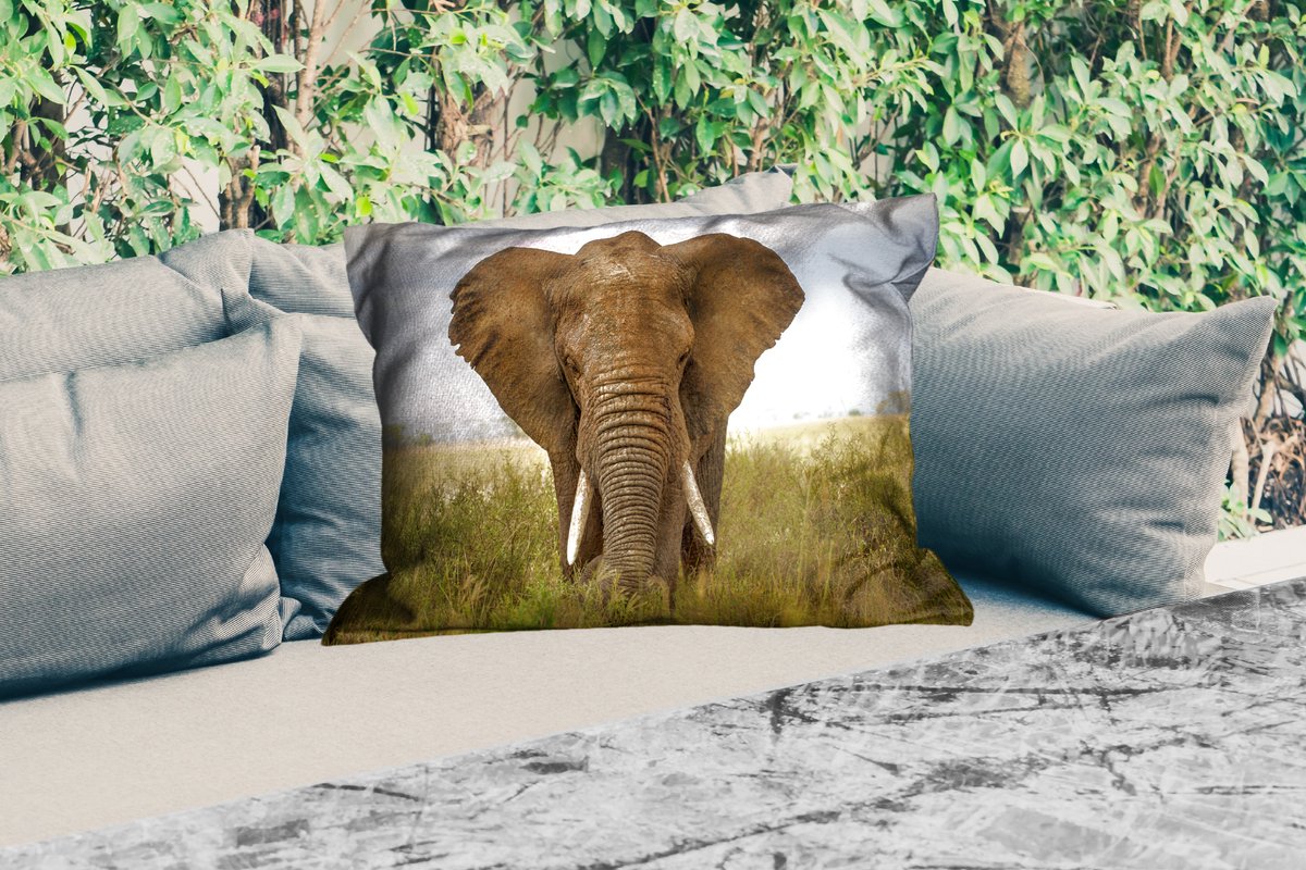 Buitenkussens - Olifant - Natuur - Gras - Dieren - Landschap - 60x40 cm - Weerbestendig