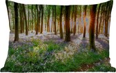 Coussins d'extérieur - Jardin - Forêt - Fleurs - Lavande - Soleil - Violet - Nature - 50x30 cm