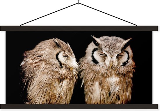 Affiche scolaire - Chouette - Vogel - Zwart - 120x60 cm - Lattes noires