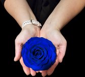 Blauwe roos - long life roos - echte roos maandenlang mooi