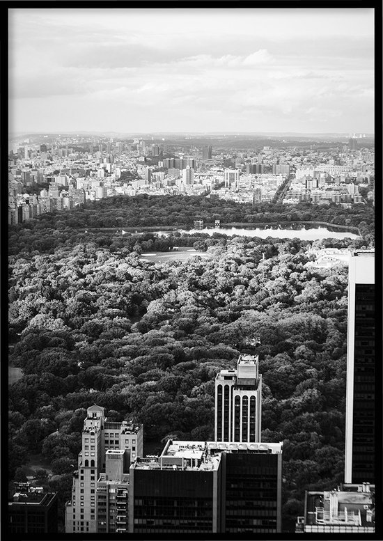 Poster Central Park zwart-wit - Natuur poster - 30x40 cm - Exclusief lijst - WALLLL