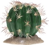 Echinocactus M - 11x10,5x11cm vert