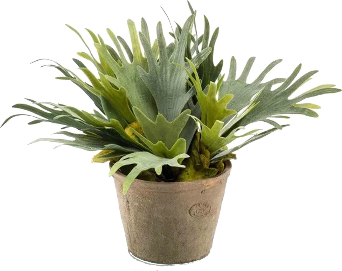 Emerald Kunstplant Staghorn varen - groen - in grijs betonlook pot - 38 cm Betongrijs
