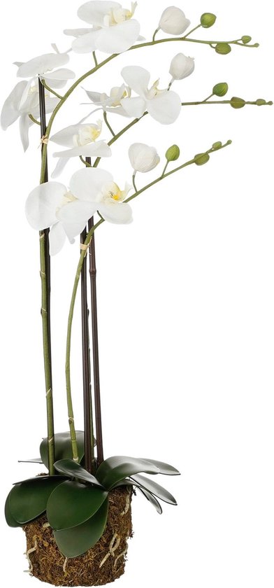 Mica Decorations Kunstplant Phalaenopsis - 30x18x76 cm - Polyester - Wit
