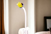 Tulipe Multicolore Jaune - Tulipes en Verres - Fleurs - Tulipes en Glas - Rose en Glas - Fleurs en Verres