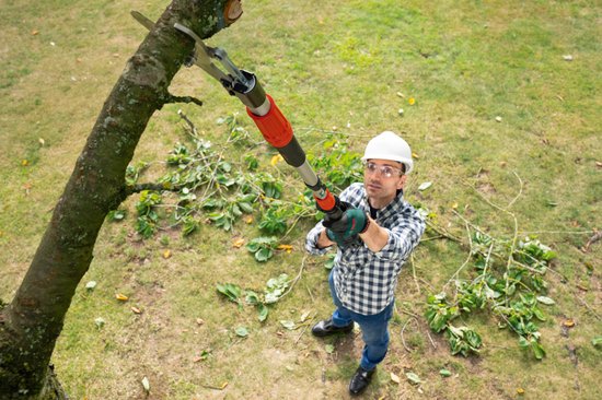 Bosch AdvancedPrune 18V-45 - Accu takkenschaar - Inclusief verlengstuk - 18 V Accu 2.0 Ah - AL 18V-20 lader van Bosch — afbeelding 3