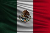 Partychimp Mexicaanse Vlag Mexico - 90x150 Cm - Polyester - Groen/wit/rood