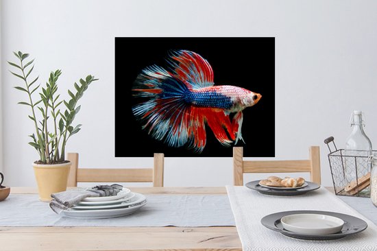 Stickers muraux - Film autocollant - Poisson - Animal marin - Staart - Blauw - 80x60 cm - Film adhésif - Stickers muraux chambre enfant - Papier peint autocollant - Papier peint autocollant - Film autocollant