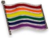 Insigne de drapeau de Pride de couleurs arc-en-ciel
