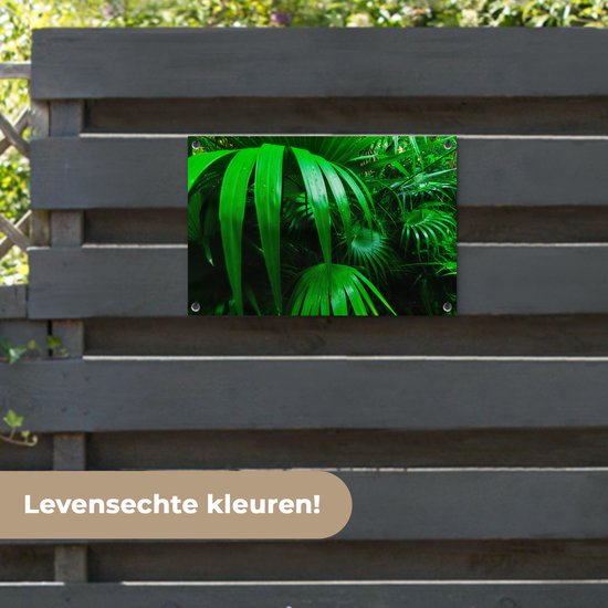 Affiche de jardin Feuilles de palmier dans la jungle 60x40 cm - petit - Toile de jardin / Toile d'extérieur / Peintures d'extérieur (décoration de jardin)