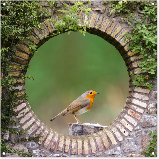 Affiche de jardin - Vogel - Animaux - Rouge-gorge - Transparent - Jardin - 100x100 cm - Affiche de clôture - Toile de jardin