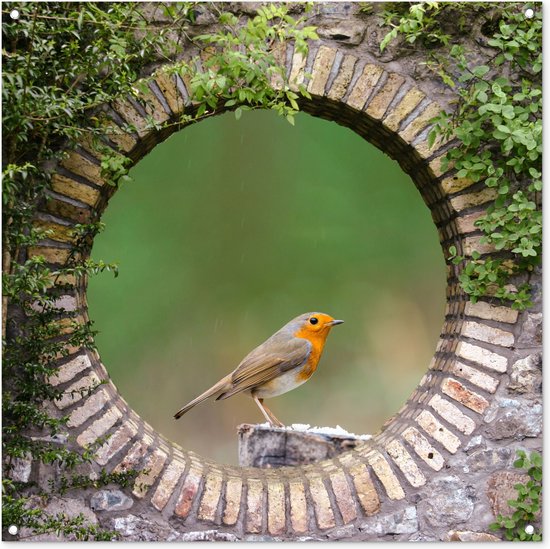 Tuinposter - Tuinschilderij voor buiten - Schuttingdoek - Tuin - Roodborstje - Vogel - Natuur - Steen - Schutting decoratie - Tuinposters - Tuindecoratie - Schuttingposter - 100x100 cm - Buitenposter - Balkon decoratie