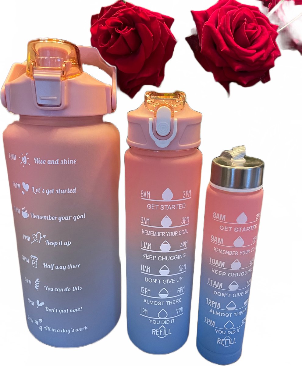 motivatie waterfles - B&S decoration - 2 liter fles - waterfles met tijden - sportbidon - sportfles 2 liter- set van 3 - 1 liter fles - 500ml fles