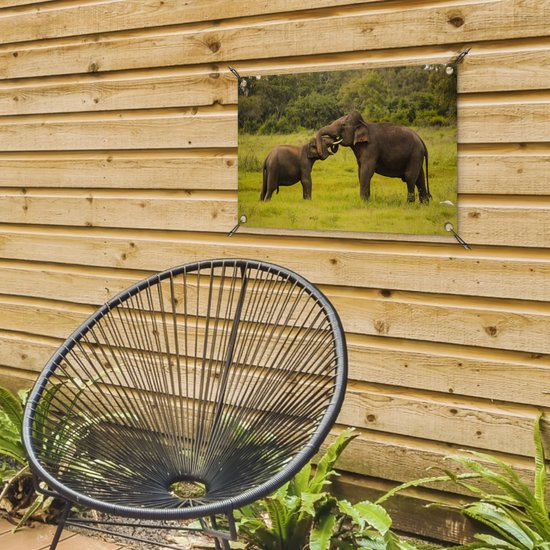 Décoration de jardin Deux éléphants combattants - 60x40 cm - Poster jardin - Toile jardin - Poster extérieur
