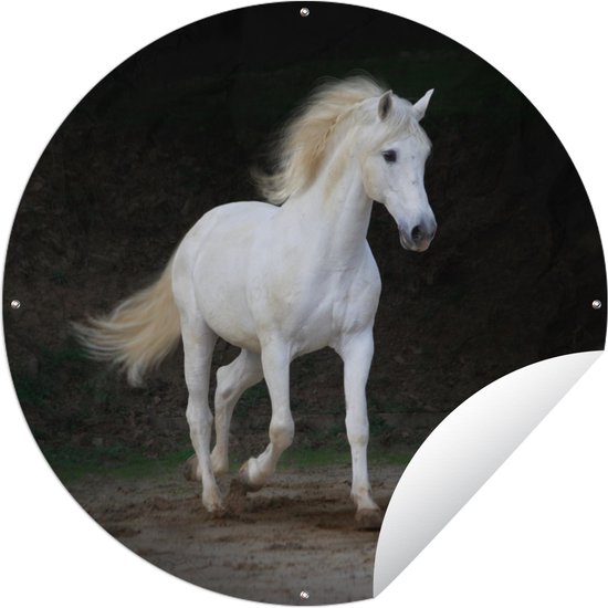 Tuincirkel Paarden - Zand - Donker - 150x150 cm - Ronde Tuinposter - Buiten