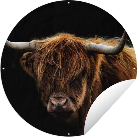 Tuincirkel Schotse Hooglander - Horens - Zwart - Dieren - Natuur - Wild - Koe - 60x60 cm - Ronde Tuinposter - Buiten