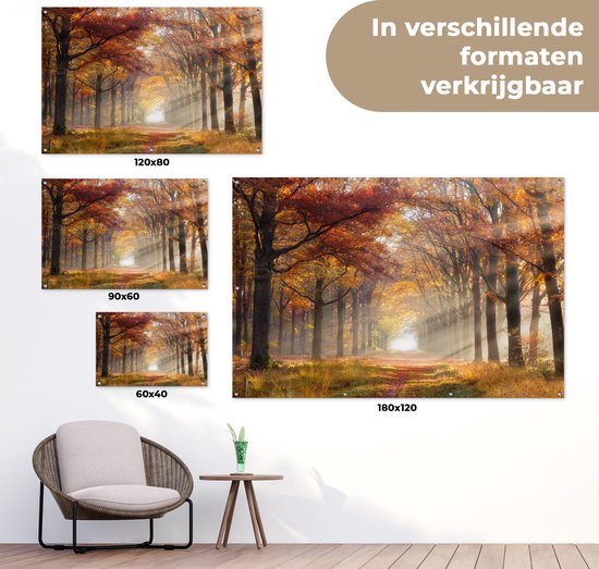 Affiche de jardin Automne - Forêt - Arbre - 120x80 cm - Jardin