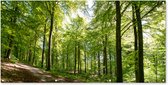 Wanddecoratie buiten Bos - Zon - Boom - 160x80 cm - Tuindoek - Buitenposter