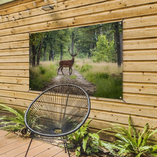 Affiche de jardin Forêt - Cerf - Arbres - 120x80 cm - Jardin