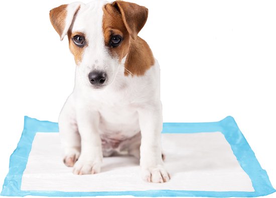 Jack russell puppy zit op een wit plasmatje met blauwe rand.