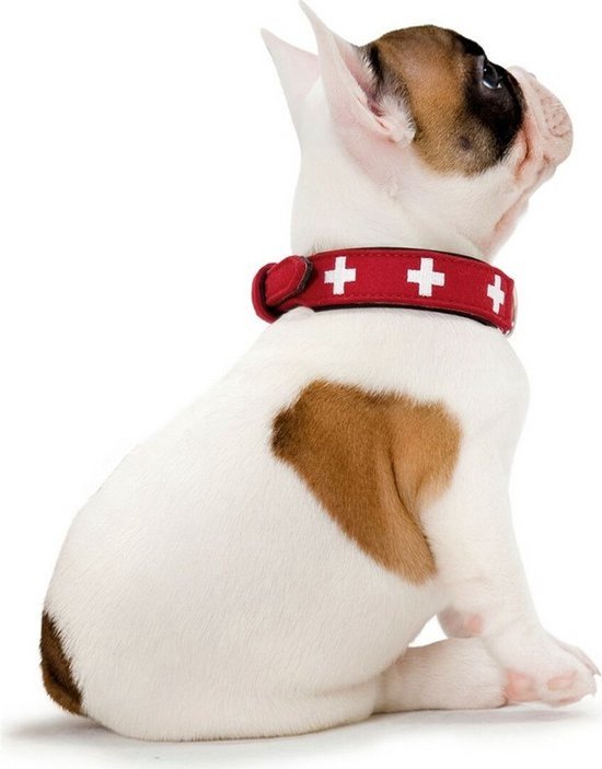 Dog collar Hunter Swiss Red/Black (35-39.5 cm) van Hunter — afbeelding 5