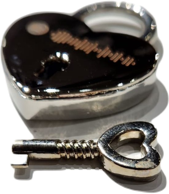 Porte-clés Spotify Lock personnalisé | Argent | Métal/acier inoxydable | Design de coeur d'amour | Cadeau musical Perfect pour les couples et les vacances !