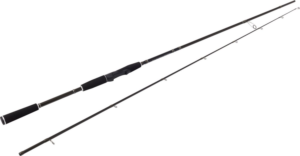 Westin W2 Finesse Shad 248cm H 12-38gr | Spinhengels