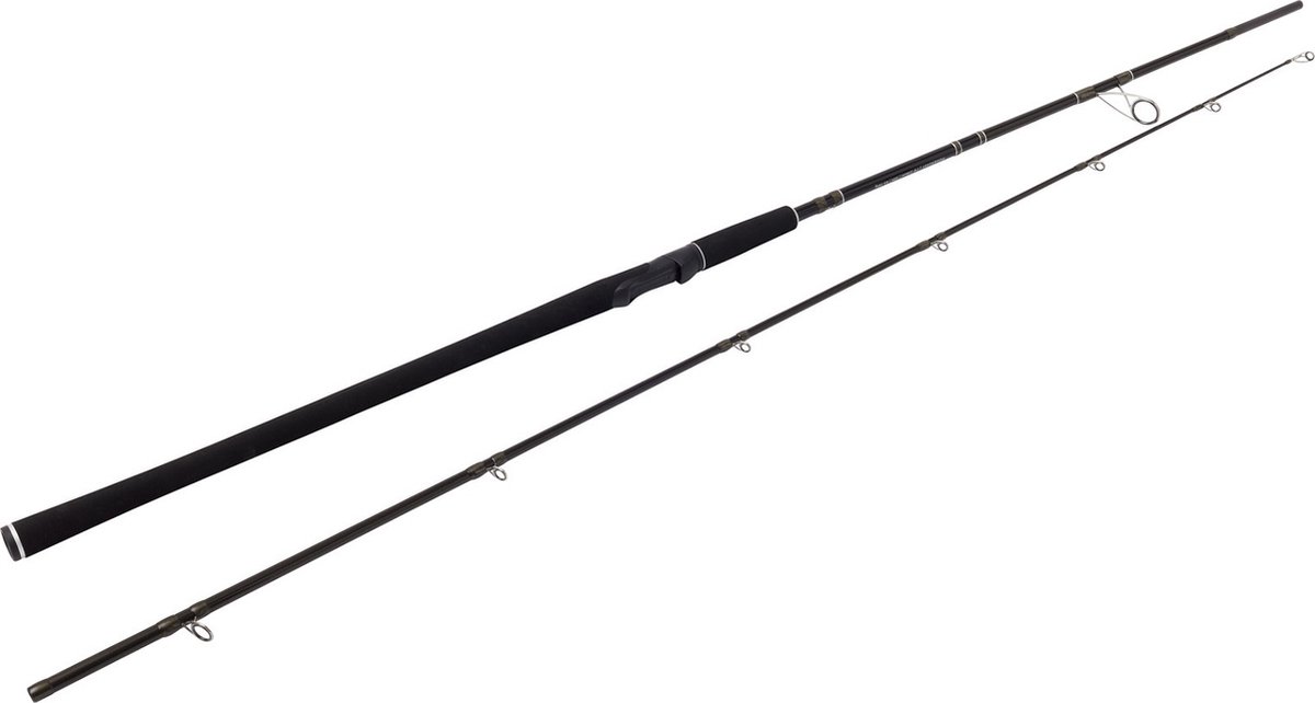 Westin W2 Powercast 248cm XXH 40-130gr | Spinhengels