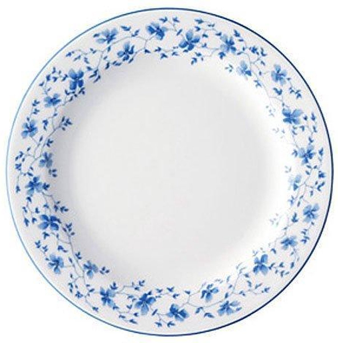 Arzberg Form 1382 Blaublüten Ontbijtbord 22 cm