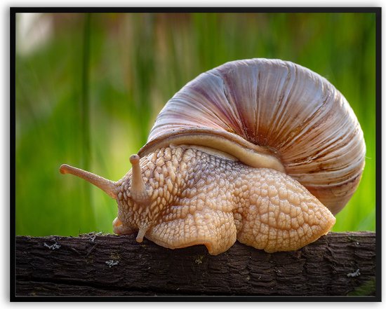Uw fotolijst en fotolijsten in alle maten! Fotolijstennl