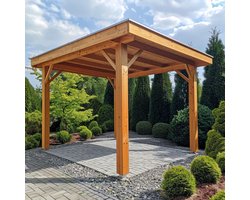 Houten overkapping - Douglas - 300 x 500 cm