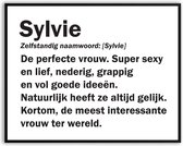 Sylvie Woordenboek Fotolijst met glas 50 x 70 cm - Prachtige kwaliteit - jarig - verjaardag - kado - Canvas - incl ophangsysteem - Poster - Grappig - cadeau