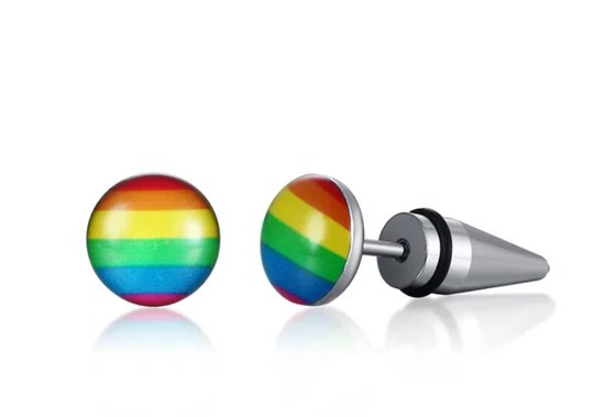 Mea* Rainbow-regenboog Gay pride RVS oorbellen