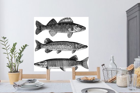 Stickers Stickers muraux - trois poissons - 100x100 cm - Feuille adhésive XXL