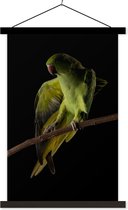 Affiche textielposter Perroquet sur fond noir lamelles noires 60x90 cm